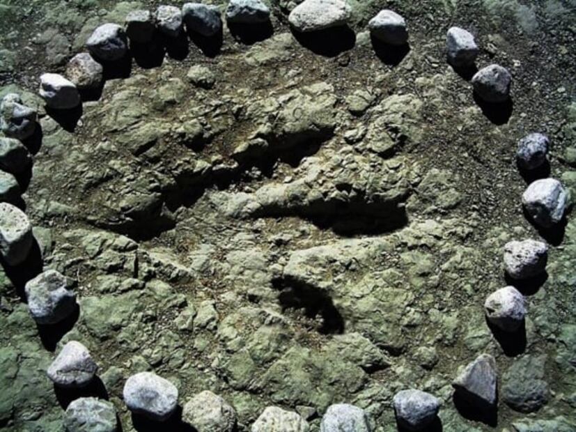 Puebla. Qué hacer en la Reserva de la Biósfera Tehuacán-Cuicatlán