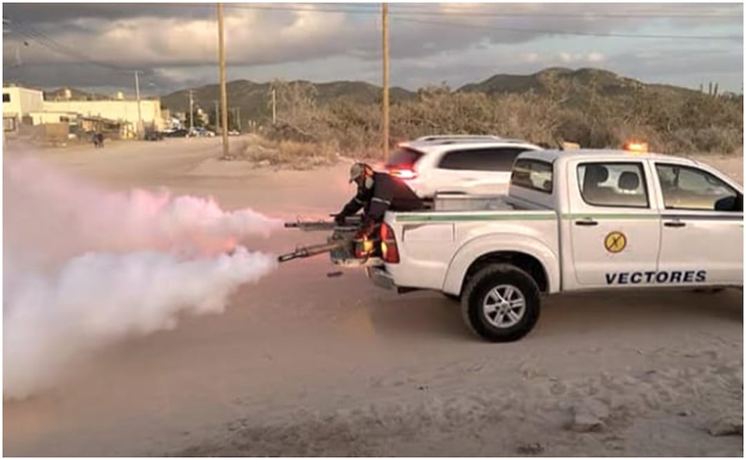 Con jornadas de control larvario y fumigación intradomiciliaria, arrancaron los operativos para atender diversas regiones de Baja California Sur ante el incremento de casos de dengue (11/10)2024). Foto: Especial