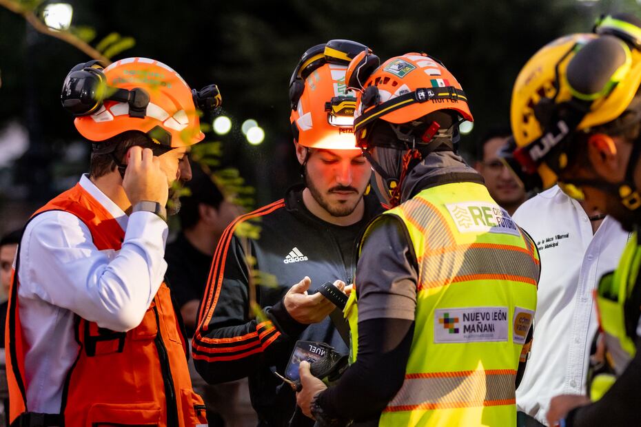 Samuel García inicia reforestación en la Macroplaza de Monterrey; plantarán 64 árboles nativos.
Foto: Especial.