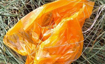 Aparato de la Administración Nacional Oceánica y Atmosférica de EU cae en patio de una casa de Reynosa, Tamaulipas 