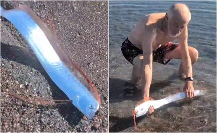 Pez remo aparece en playas de México y causa terror en redes; ¿por qué se le relaciona con el fin del mundo?