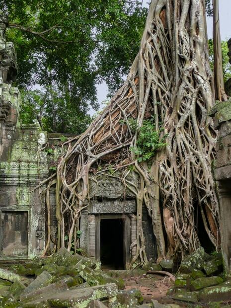 Angkor Wat, los magníficos templos para recibir el amanecer
