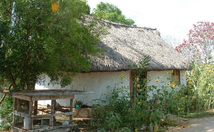 Buscan reconocimiento de la vivienda maya como patrimonio cultural en Yucatán 