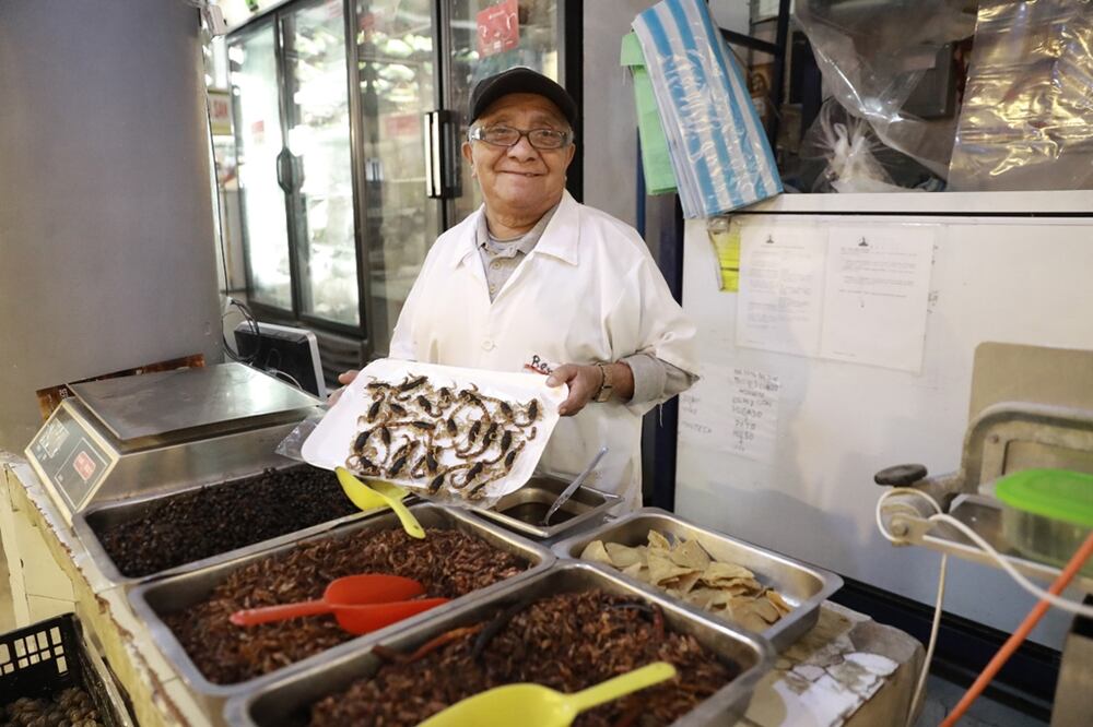 Fritos con sal, en tacos con guacamole, cocinados en mixiotes o cubiertos de chocolate los insectos son una fuente de nutrientes no sólo para llevar una dieta más balanceada, sino que representan una medida para combatir los efectos del cambio climático.