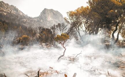 Grecia vive “verano de pesadilla” por los incendios