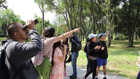 Cuándo es el recorrido sensorial en el Audiorama de Chapultepec