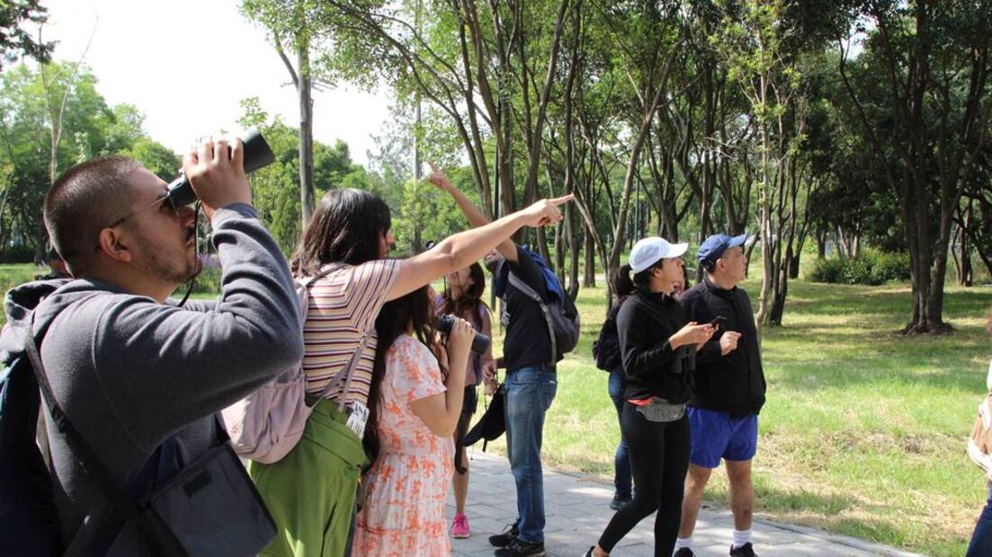 Foto: Bosque de Chapultepec