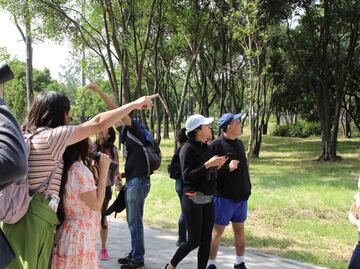 Cuándo es el recorrido sensorial en el Audiorama de Chapultepec