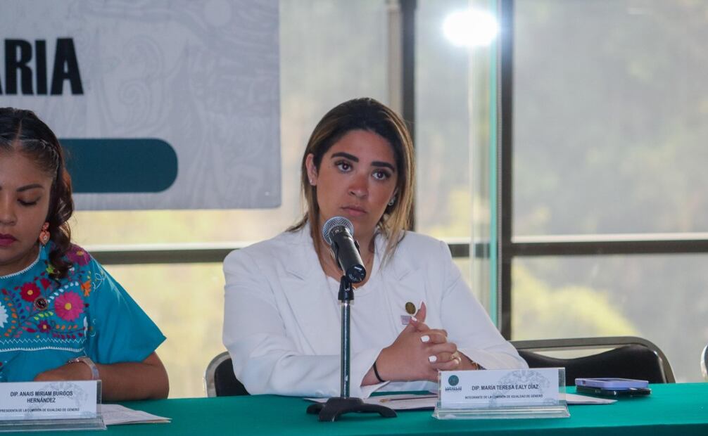 Diputada María Teresa Ealy durante la Séptima Reunión Ordinaria de la Comisión de Igualdad de Género en la Cámara de Diputados. Foto: Especial