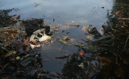 Declaran emergencia ambiental en la Laguna de las Ilusiones en Villahermosa