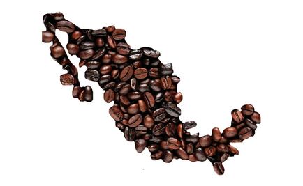 ¡Orgullo mexicano! Conoce estos productos que cuentan con Denominación de Origen mexicana