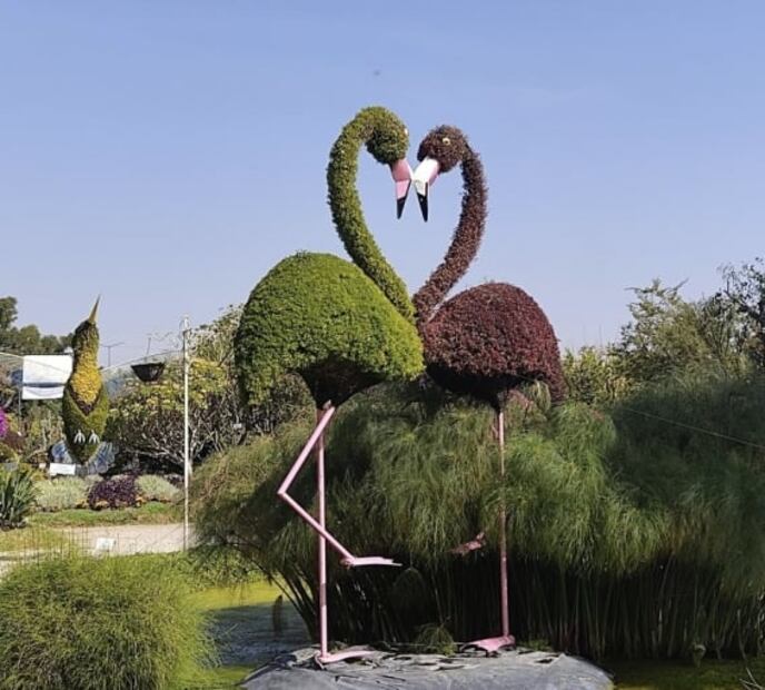 Cuánto cuesta visitar el Jardín Mágico de Atlixco en 2021
