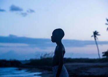 ¿Qué ver?: “Moonlight”, la película que brilló por su elenco