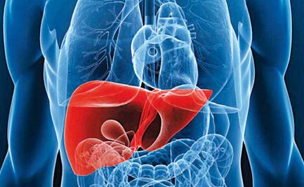 En el marco del Día de la Salud Hepática FundHepa recuerda la importancia prevenir enfermedades desde la infancia
