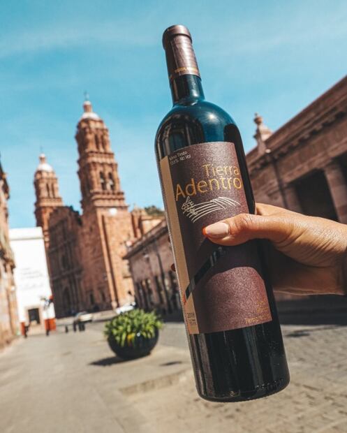 La temporada de cosecha llegó a los viñedos de Zacatecas