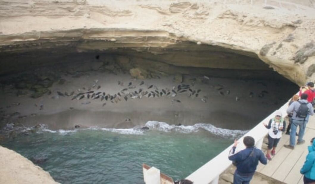 Qué hacer en San Quintín, mágico lugar en México con playas y cactus gigantes