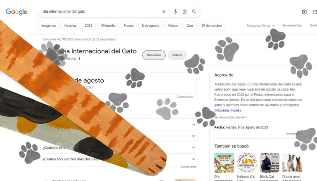 Día Internacional del Gato. Foto: Captura de Google