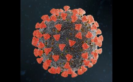 Matemáticas responden por qué el Covid-19 daña algunos órganos