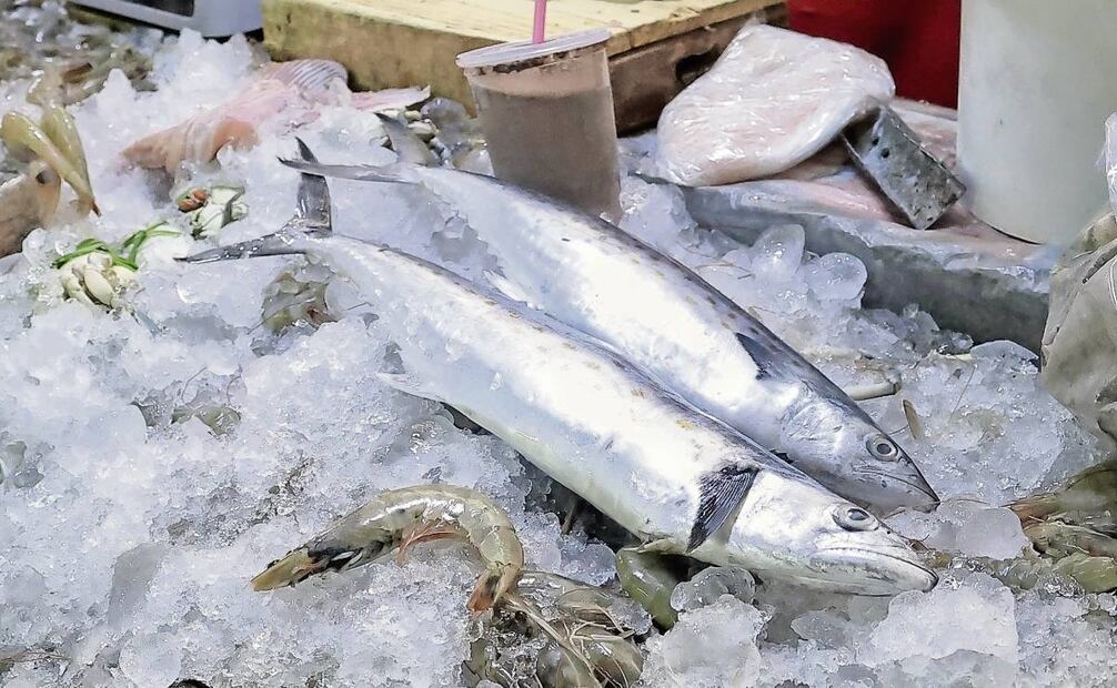 El pescado fresco debe cubrirse con hielo, indicó funcionario. (17/04/2025) Foto: Fernanda Rojas | El Universal