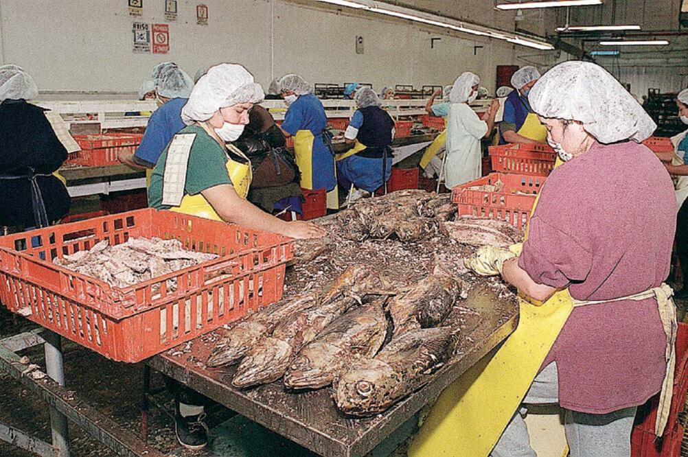 Para Grupomar, a pesar de que se cobre a EU un arancel como represalia, los ingresos los tendrá el gobierno y no los productores de atún (ARCHIVO EL UNIVERSAL)