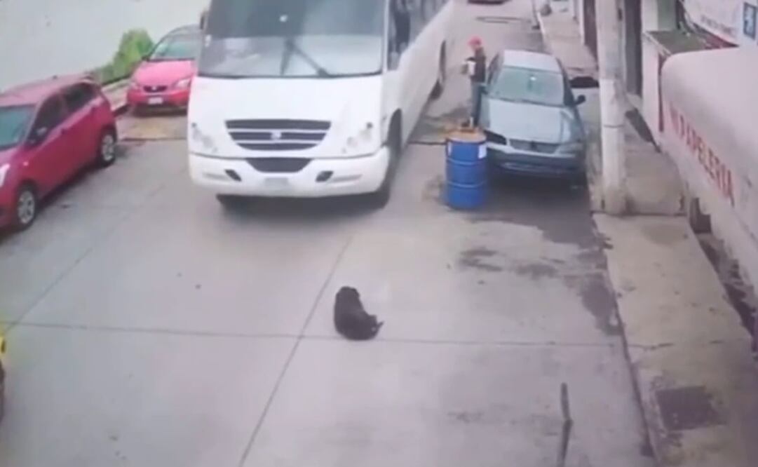 Foto: Captura de video