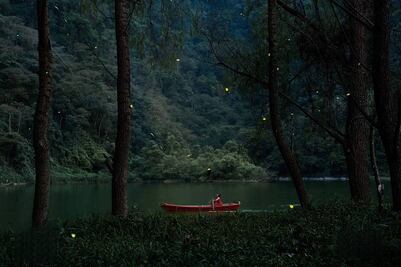 Tlatlauquitepec: lánzate a su Festival de Luciérnagas