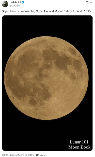 Foto: Captura de pantalla X