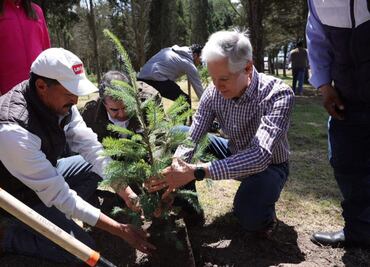 Masa forestal del Edomex aumenta más de 15 mil hectáreas: Alfredo Del Mazo