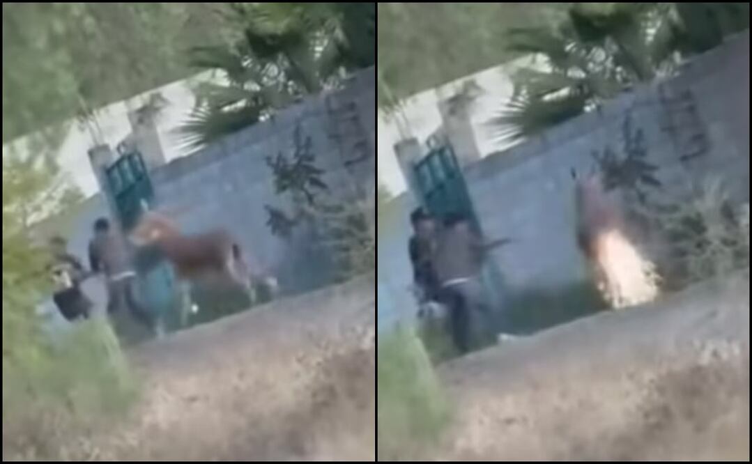 La agresión provocó el enojo de los usuarios de redes sociales, quienes exigen justicia y un castigo ejemplar para los responsables. Foto: Captura de pantalla