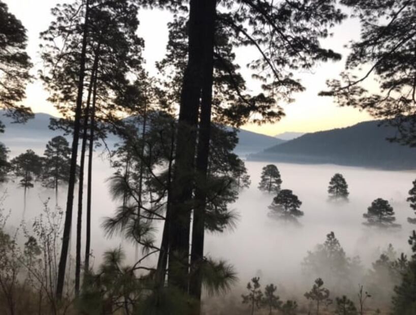 Visita el Parque Ecoturístico Corral de Piedra, una joya del Edomex