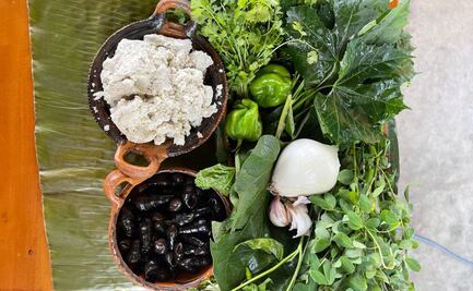 5 ingredientes tabasqueños que no conocías 