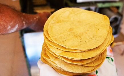 Mexican scientists fight obesity with barley tortillas