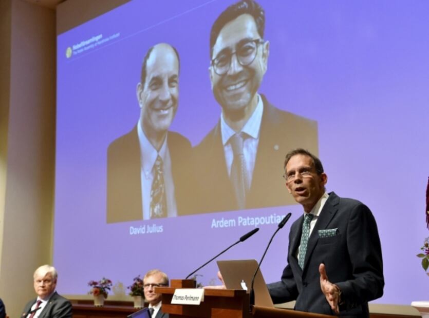 ¿Quiénes son y qué hay detrás de los ganadores del Premio Nobel de Medicina 2021?