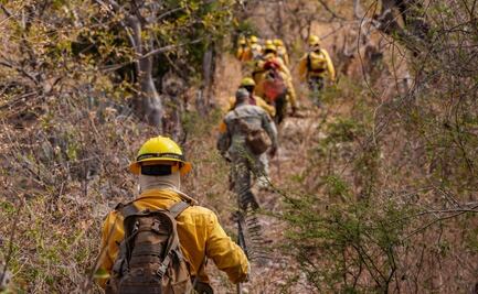 Se reactiva incendio forestal en Miacatlán, Morelos por fuertes vientos; no representa riesgo para viviendas cercanas