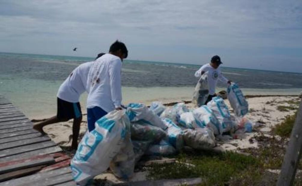 Voluntarios limpian las cinco islas del arrecife Alacranes en Yucatán