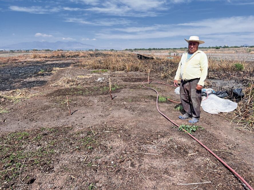 Don Albino cuenta que hace 40 años la laguna se secó y sembraron por una década, hasta que el gobierno les informó que recuperarían el lugar Foto: Arturo Contreras / El Universal