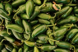 Cofepris descarta salmonella en chiles jalapeños de Nuevo León; mantienen vigilancia permanente
