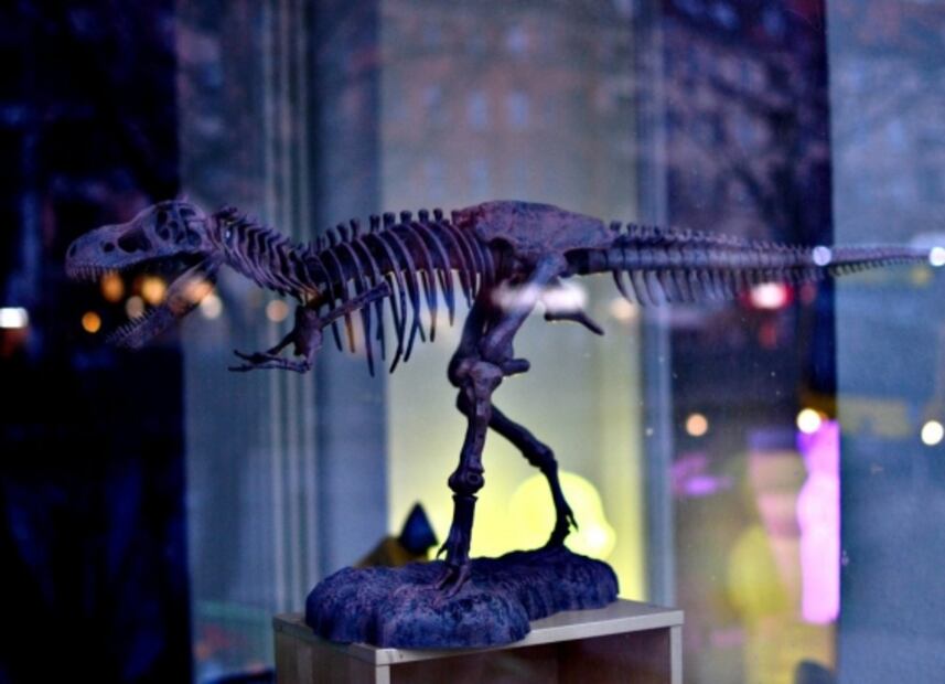 Universum está de regreso y abre con nueva exposición