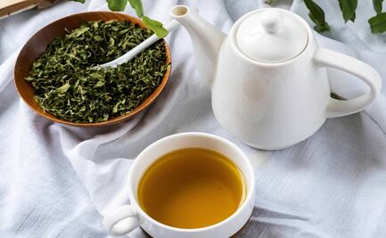 Para qué sirve el té de orégano