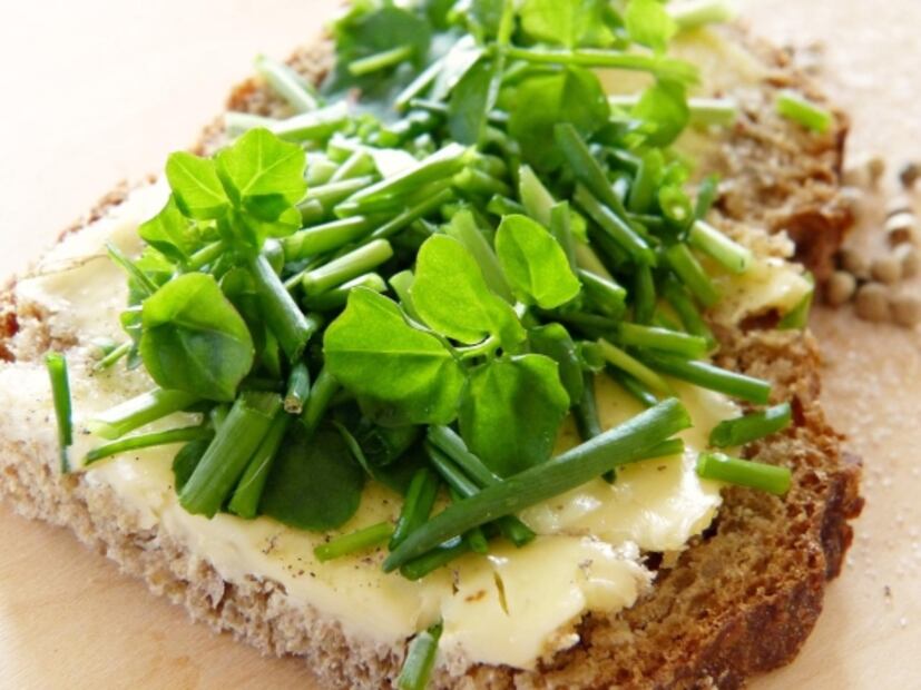Conoce los beneficios de comer berro