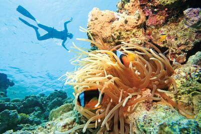 Detienen a mujer por bucear en una playa de Arabia Saudí