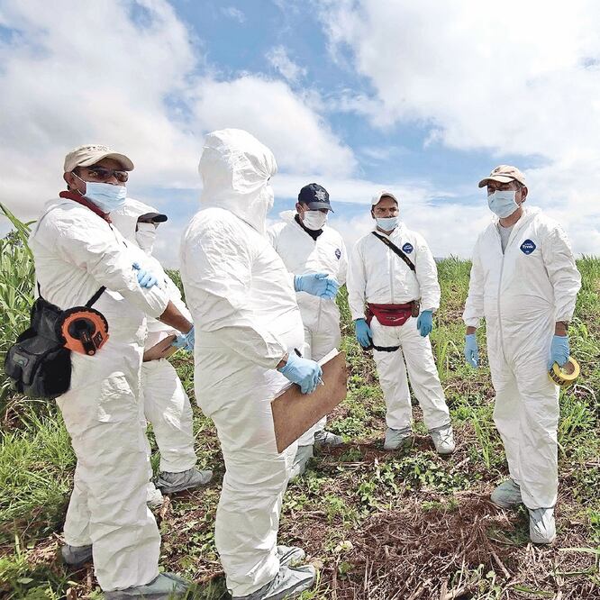 EL DATO Cifran muertes. En Edomex hay un registro de 90 feminicidios y 309 homicidios dolosos de mujeres. Foto:  ARCHIVO EL UNIVERSAL