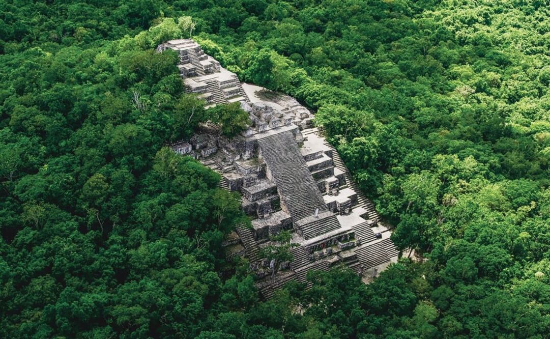 Calakmul is the second largest biosphere reserve in the continent - Photo: Courtesy of Campeche's Tourism Ministry