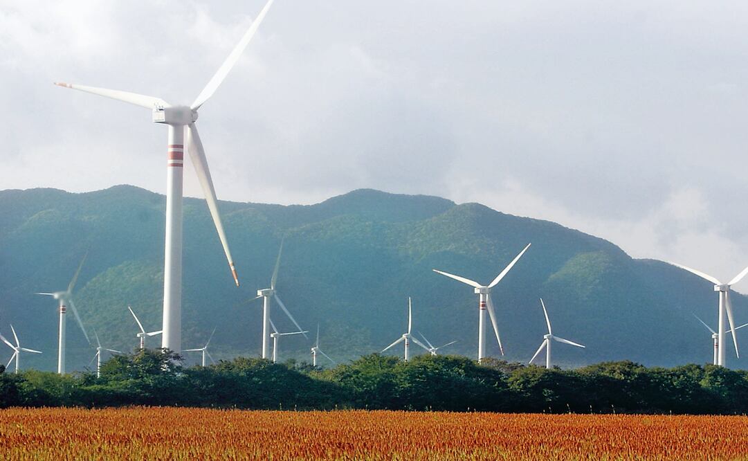 Foto: Archivo / EL UNIVERSAL