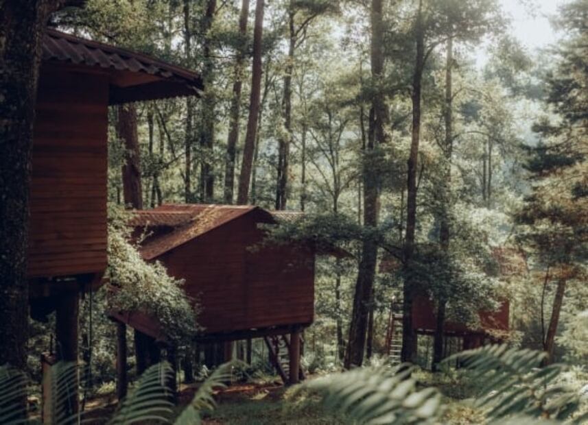 Agua Morada, las cabañas suspendidas en los árboles que debes conocer en Hidalgo