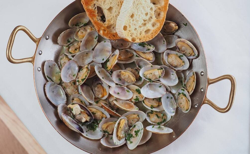 Almejas. Foto: Pexels