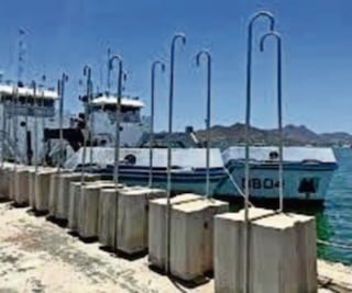 Semar protege a marsopa endémica de México