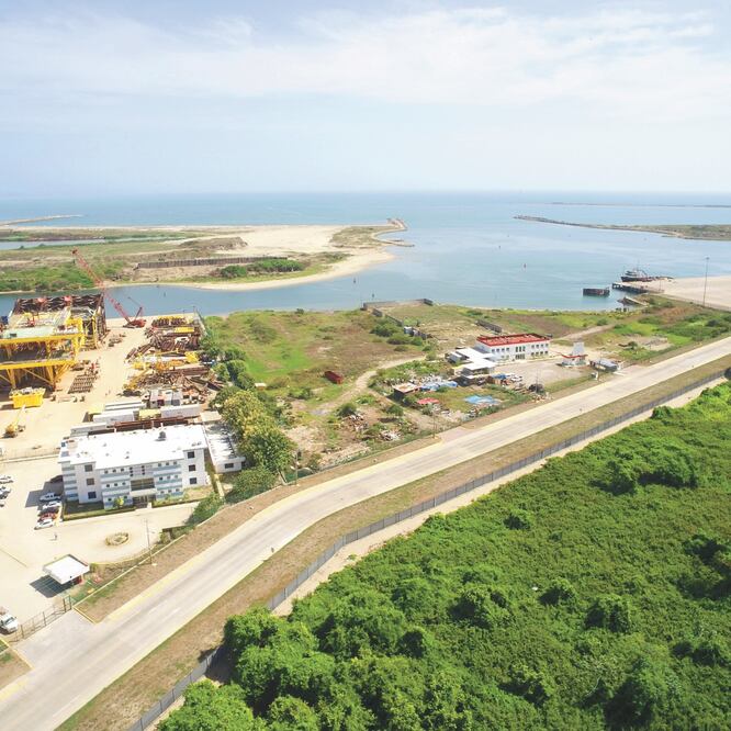 La construcción de la refinería de Dos Bocas, Tabasco, no afectará el manglar ni se podará en ninguna de las etapas del proyecto, indica el resolutivo de la Agencia de Seguridad, Energía y Ambiente. ARCHIVO EL UNIVERSAL