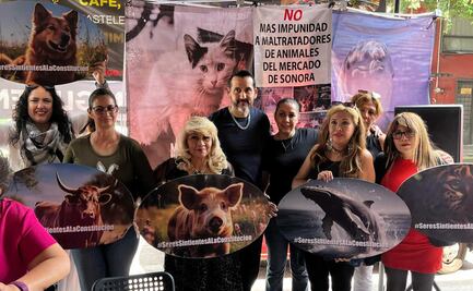 Ambientalistas y rescatistas realizarán marcha contra venta de animales exóticos en Mercado Sonora
