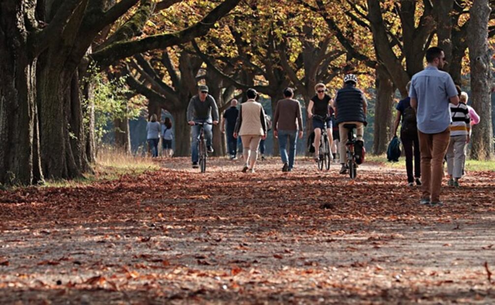 Otoño 2023. Foto: Pixabay
